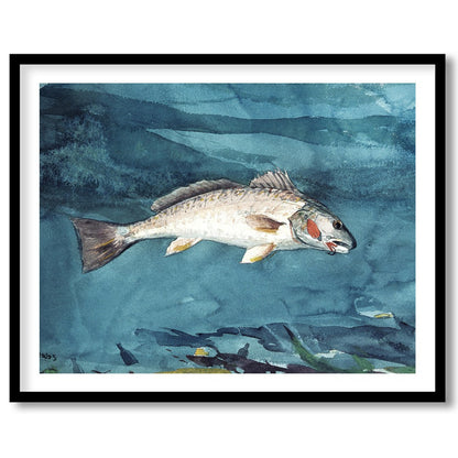Immerse yourself in the tranquil beauty of marine life with this exquisite watercolor painting. The for retreat