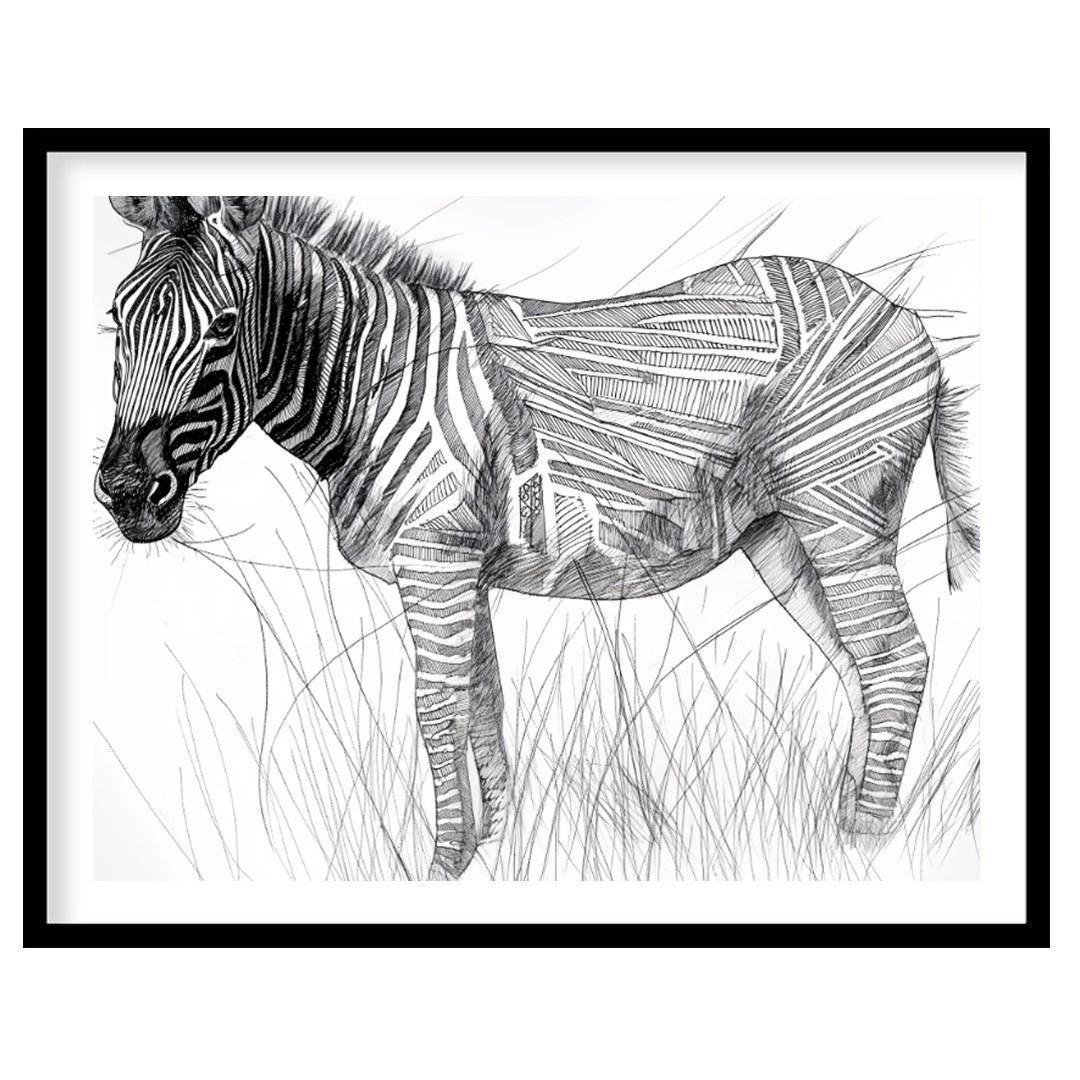 This striking black and white illustration portrays a zebra standing in a field of tall grass, comb… for lovely house