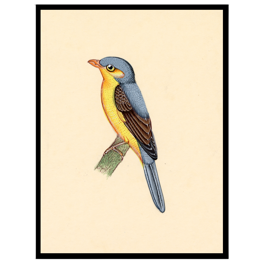 This exquisite art print captures the vivid beauty of Indian wildlife with a majestic bird perched for dwelling