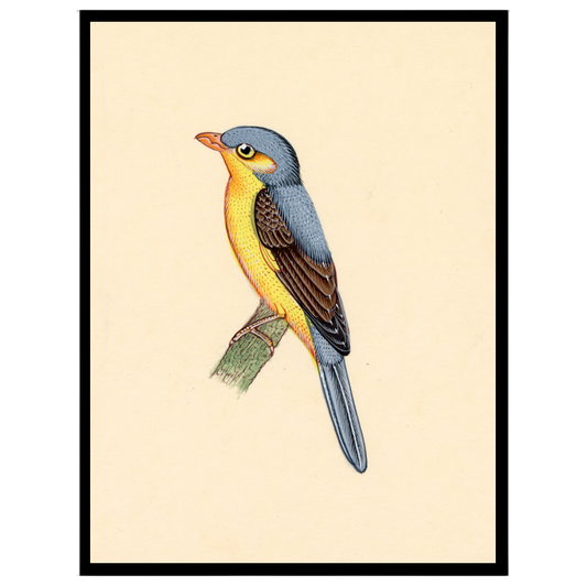 This exquisite art print captures the vivid beauty of Indian wildlife with a majestic bird perched for dwelling