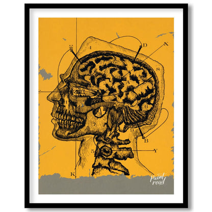 This intriguing image is a vintage anatomical illustration of the human brain and skull in profile,… for home