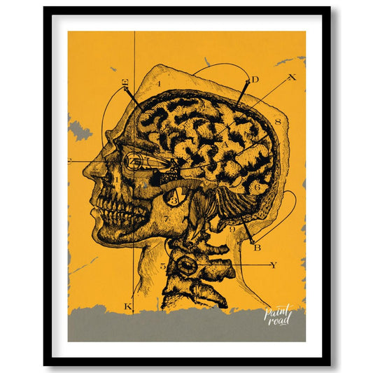 This intriguing image is a vintage anatomical illustration of the human brain and skull in profile,… for home
