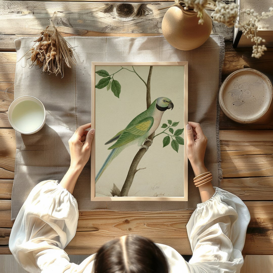 This exquisite vintage botanical illustration captures the charming elegance of a parrot perched on for room
