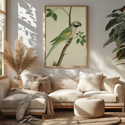 This exquisite vintage botanical illustration captures the charming elegance of a parrot perched on for Sitting Area