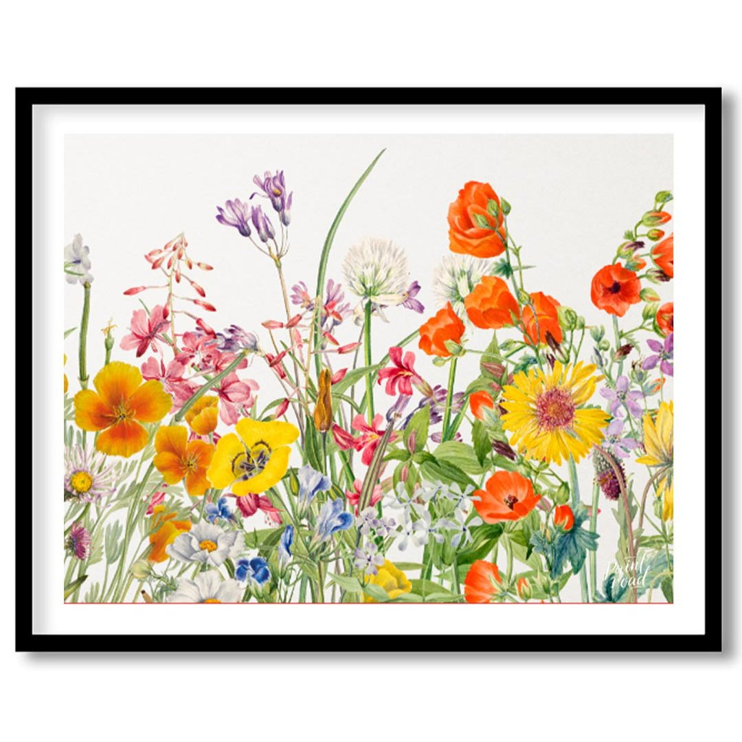 This richly detailed botanical illustration showcases a vibrant array of diverse wildflowers, burst… for abode