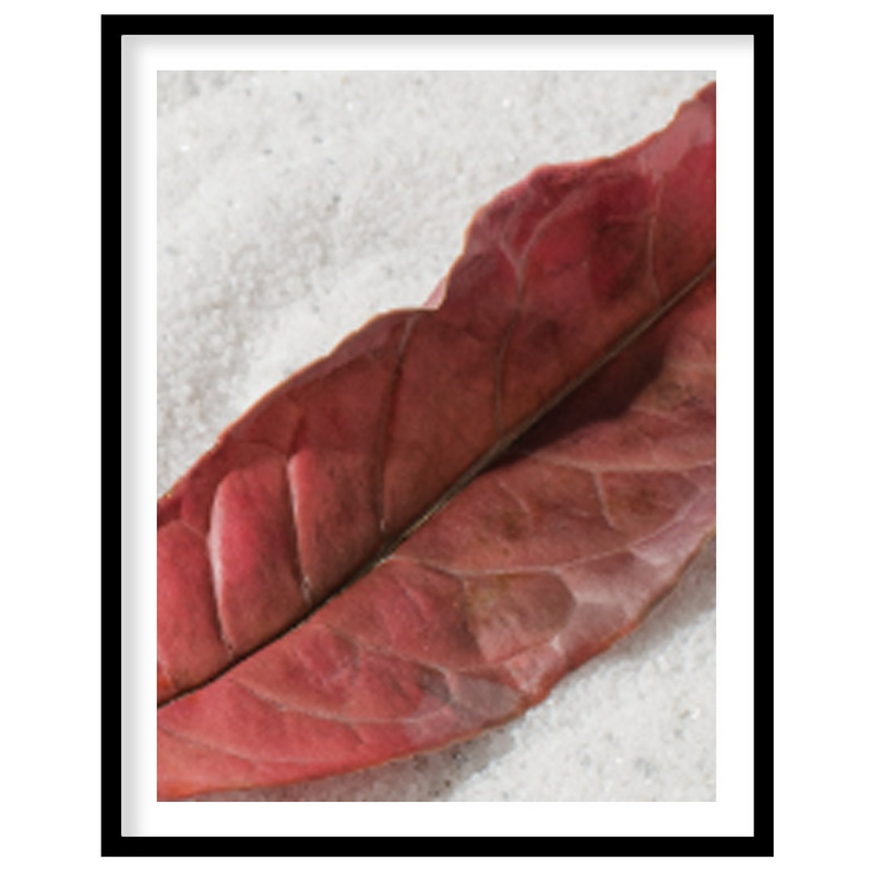Zen Leaf