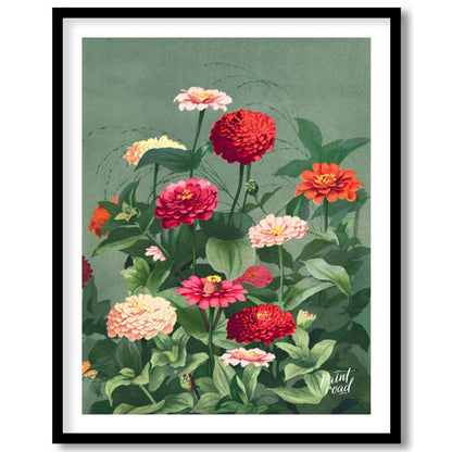 This elegant botanical illustration showcases a lush cluster of Zinnia flowers in varying shades of… for sweet home